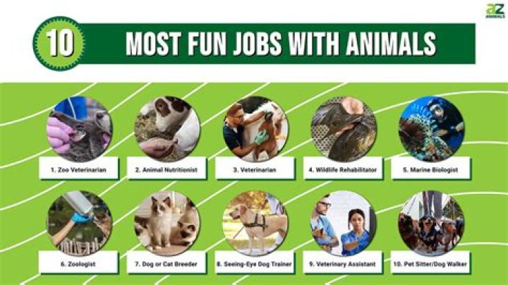 What other jobs involve working with animals?