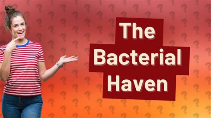 What part of your body has the most bacteria?