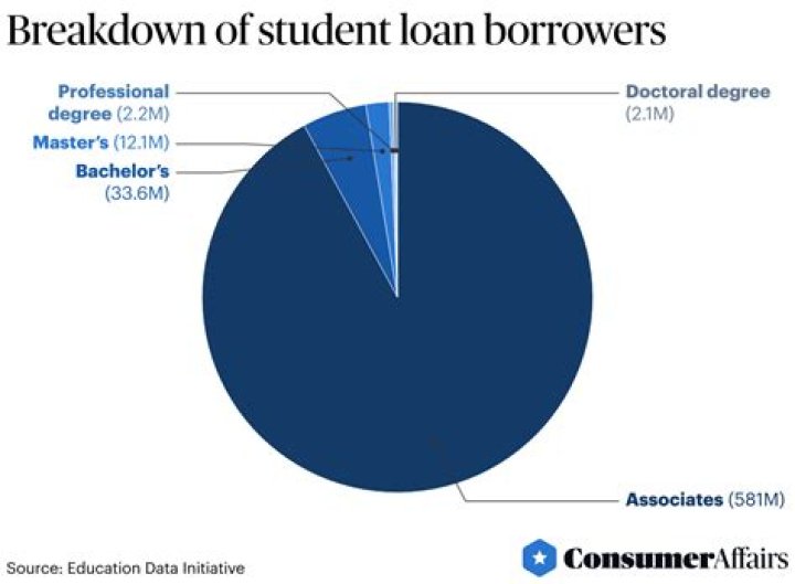 What percentage of borrowers Cannot repay their loans?