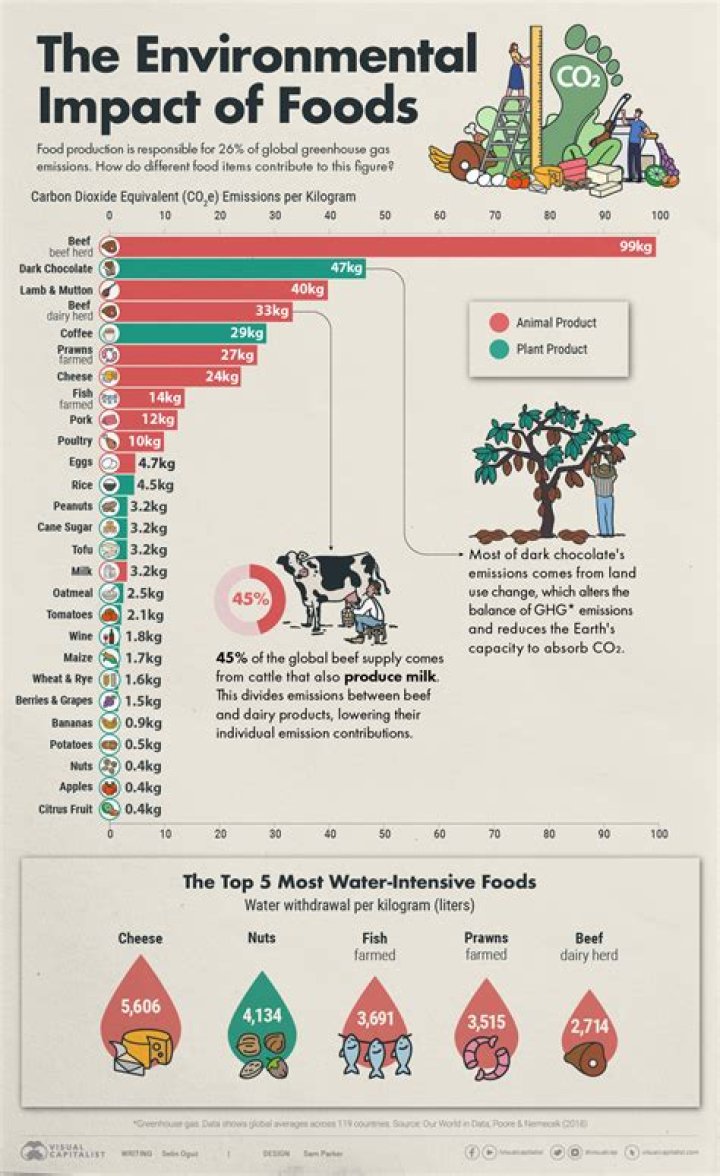 What products affect the environment the most?