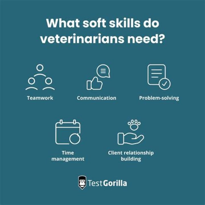 What qualifications do I need to be a farm vet?