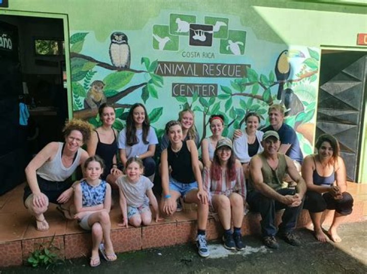 What qualifications do you need to open an animal rescue?