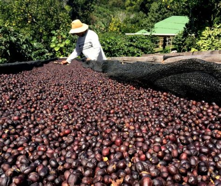 What resources is Panama known for?