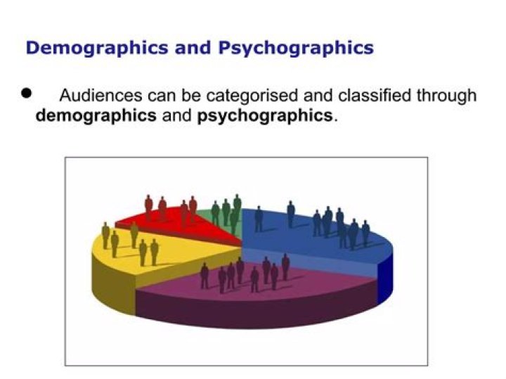 What role do demographics and psychographics play in your defining a target audience?