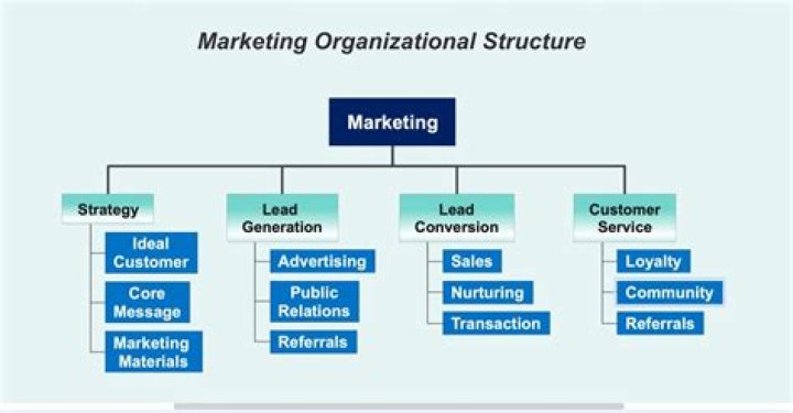What role does marketing play in an organization?