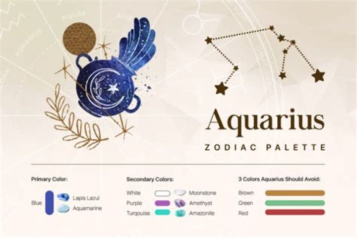 What should an Aquarius study?