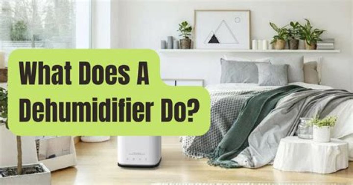 What should dehumidifier be set at?