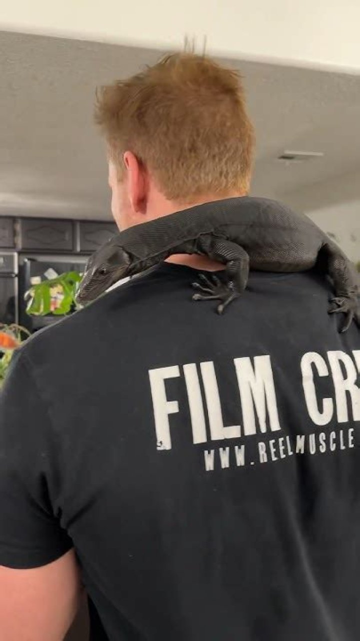 What should I name my black dragon?