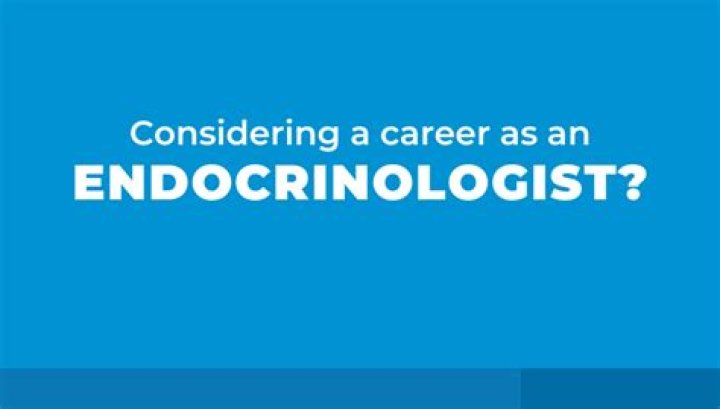 What should you major in to become a endocrinologist?