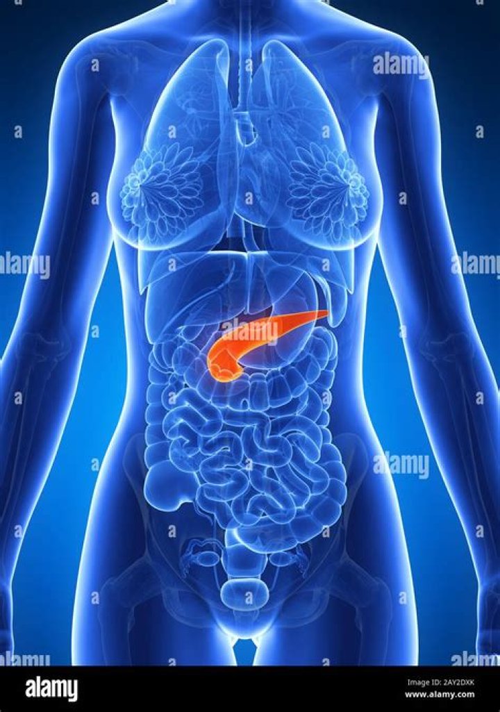 What side is pancreas on?