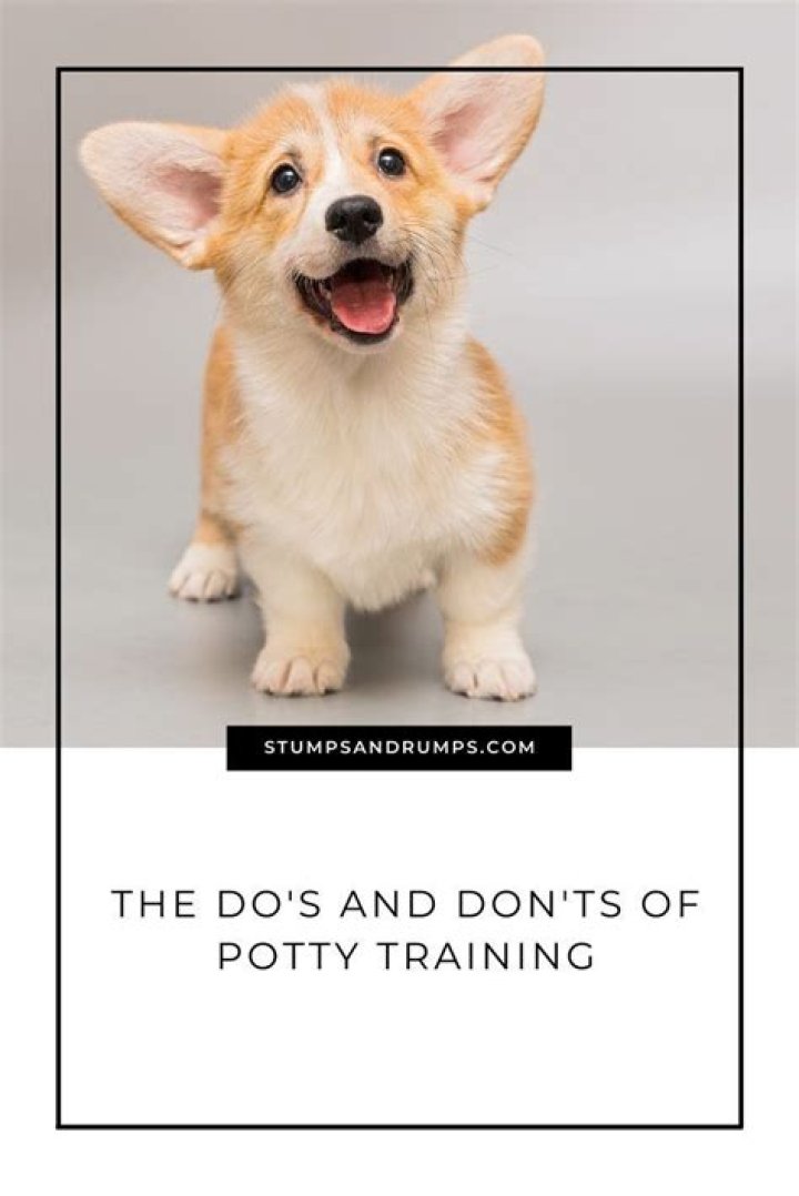 What smell attracts puppies to pee?