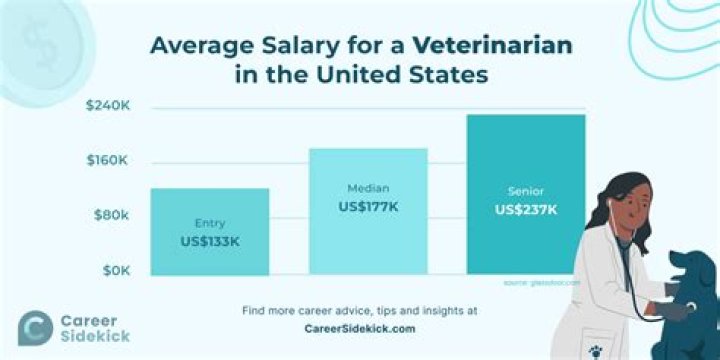What type of degree does a veterinarian need?