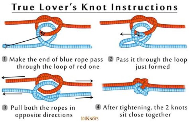 What type of insect is a true lover's knot?