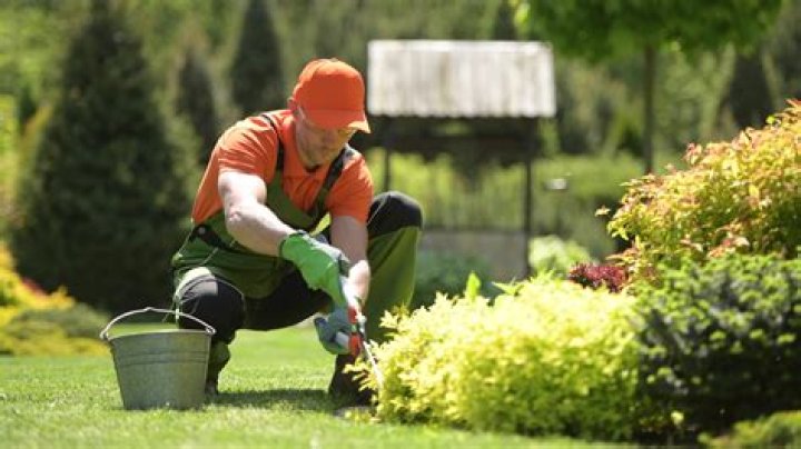 What type of job is a gardener?
