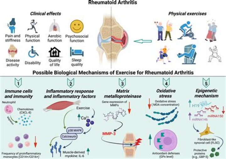 What viruses cause rheumatoid arthritis?