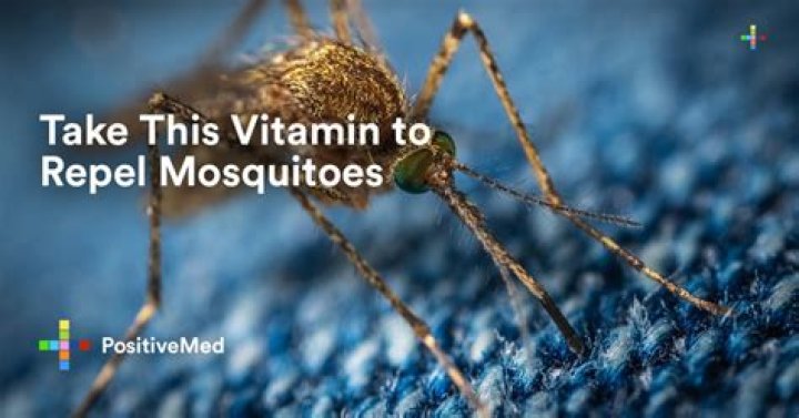 What vitamins can you take to repel mosquitoes?