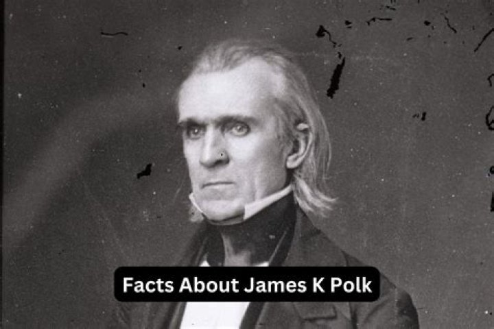 What was James K Polk early career?