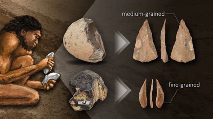 What was Paleolithic man lifestyle?