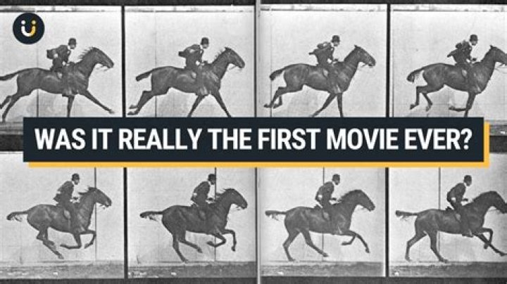 What was the first film industry?