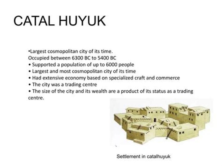 What were some of the specialized jobs in Catal Huyuk?