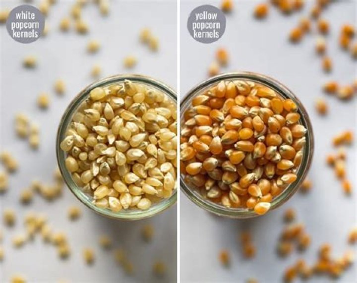 What's the difference between yellow and white popcorn?