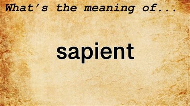 Whats the meaning of Sapient?