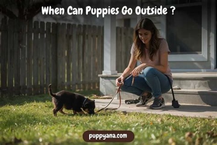 When can puppies go outside?