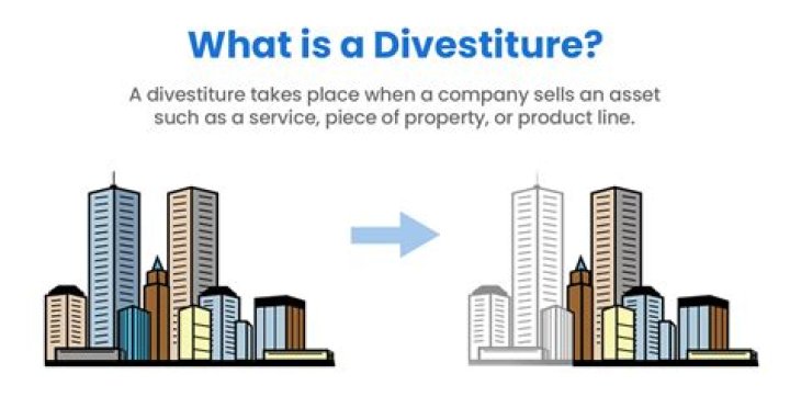 When should a company divest?