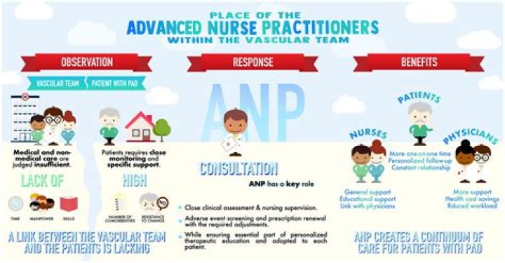 When should nurse practitioner be capitalized?