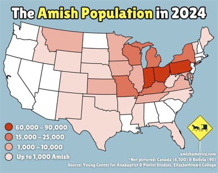 Where are the most Amish located?