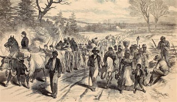 Where did escaped Carolina slaves go in the 1600s?