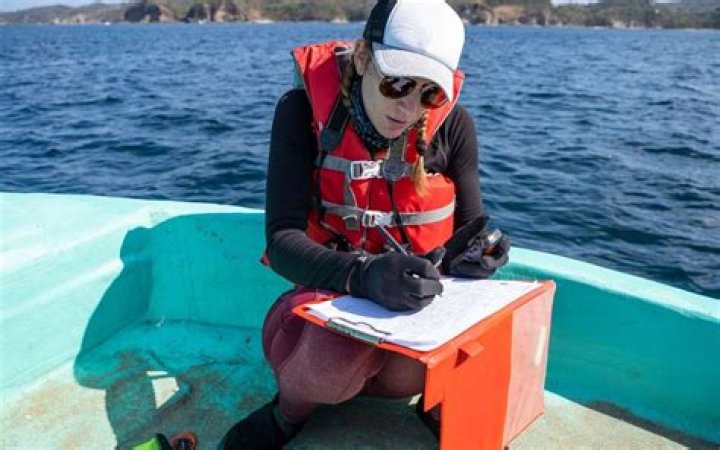 Where does a marine scientist work?