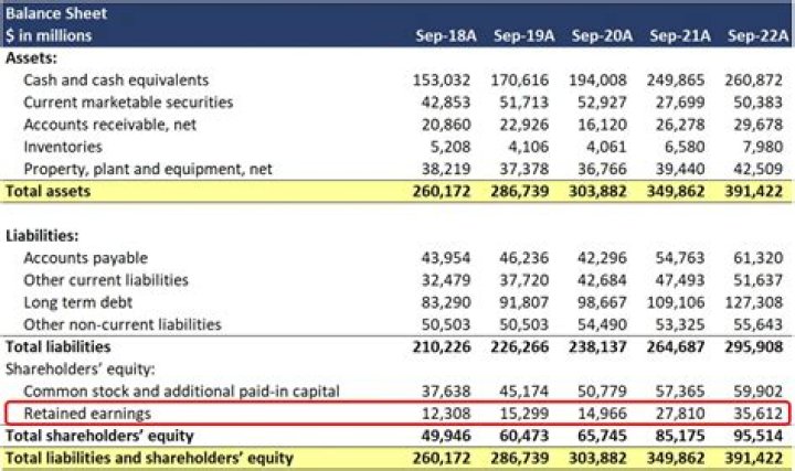 Where does interest paid go on a balance sheet?