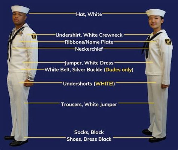 Where does the service stripe go on dress whites?