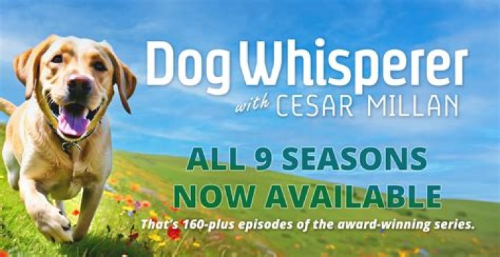 Where is Cesar Millan now 2020?