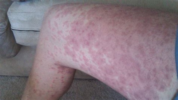 Where is TARGIT a s from?