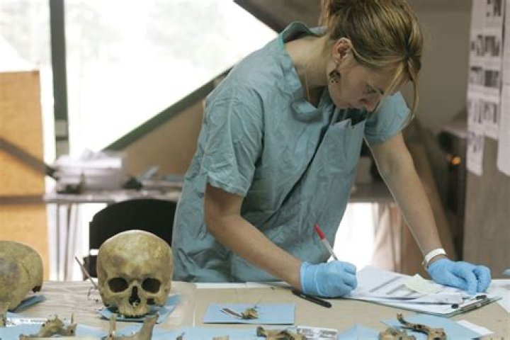 Where is the best place to be a forensic anthropologist?