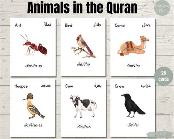 Which birds are mentioned in Quran?