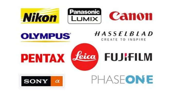 Which camera companies will survive?