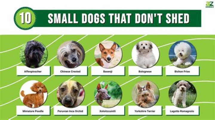 Which dog breeds should you avoid?