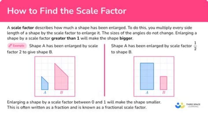 Which factor affect the size of market?