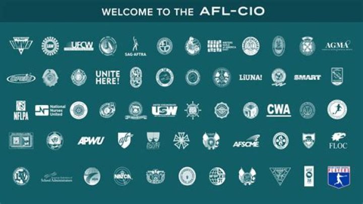 Which group belongs to the AFL-CIO?