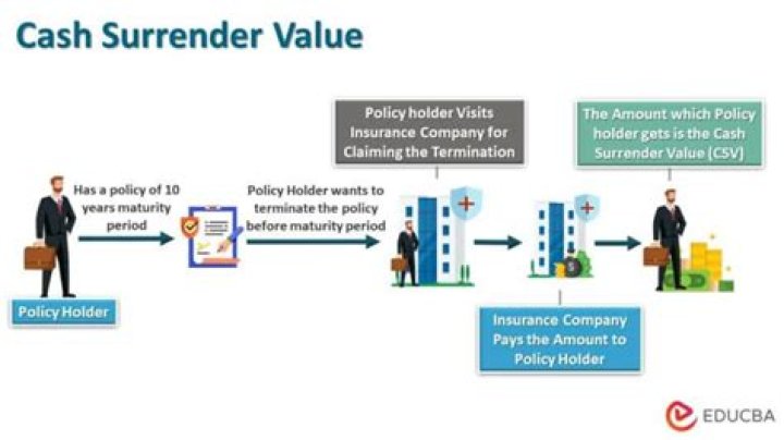 Which Nonforfeiture option does the company pay the surrender value and have no further obligations to the policy owner?