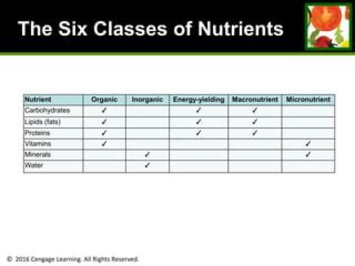 Which of the following classes of nutrients supply energy to the body?