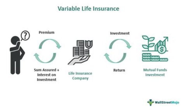 Which of the following types of licenses is are required to sell variable insurance products in this state?
