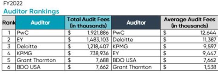 Which side does audit fees increase?