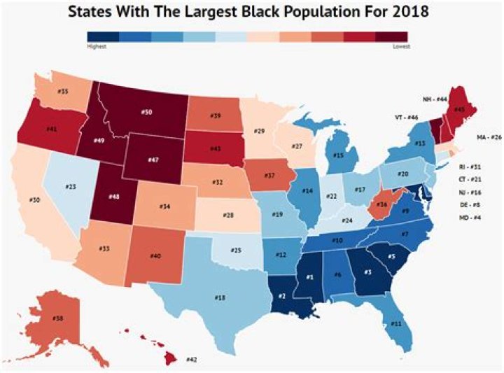 Which state has the largest black population?