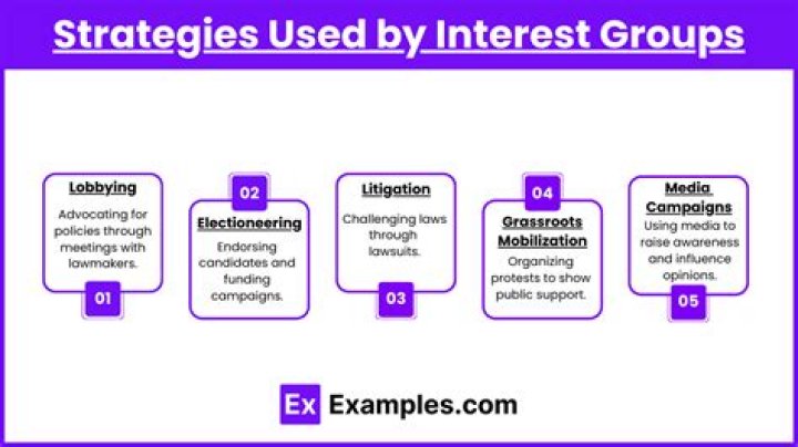 Which technique is used by interest groups?