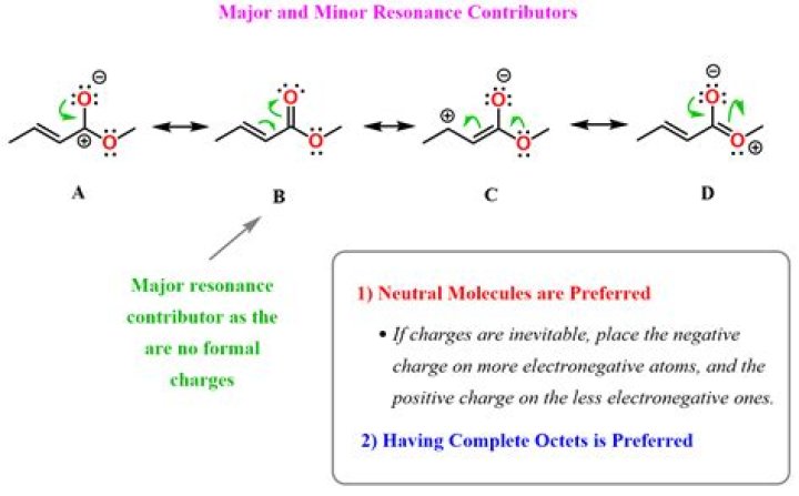 Who are the major contributors to management?