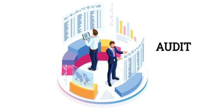 Who can audit a foreign company?